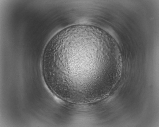 X0000070241007200606091330