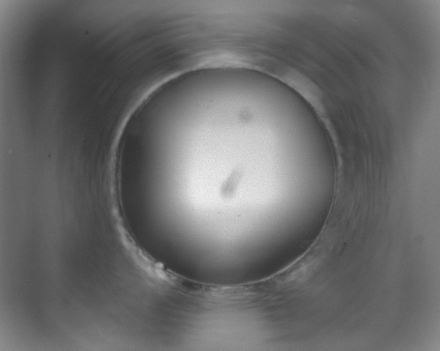 X0000070241008200606091330