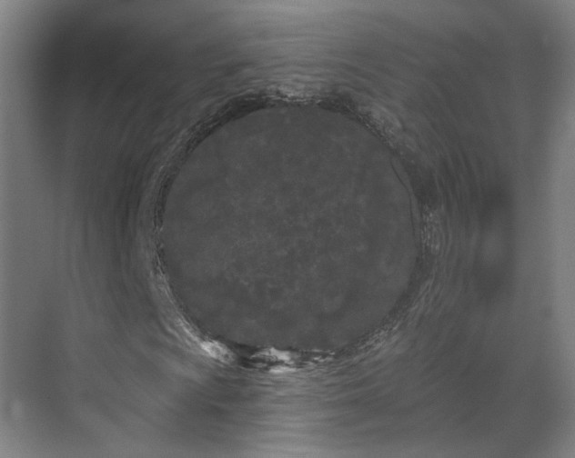 X0000070241009200606091329