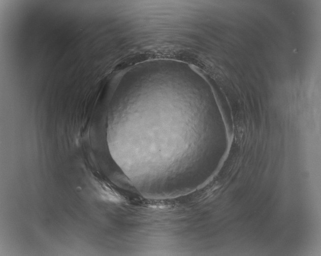 X0000070241010200606091329