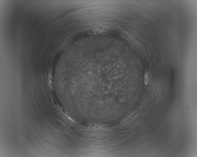 X0000070241011200606091329