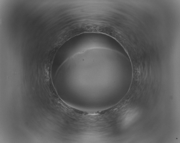 X0000070241013200606091329