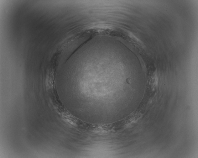 X0000070241014200606091329