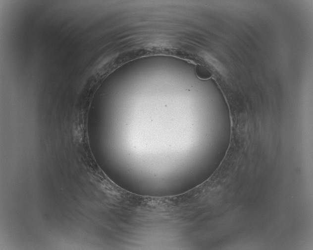 X0000070241015200606091329