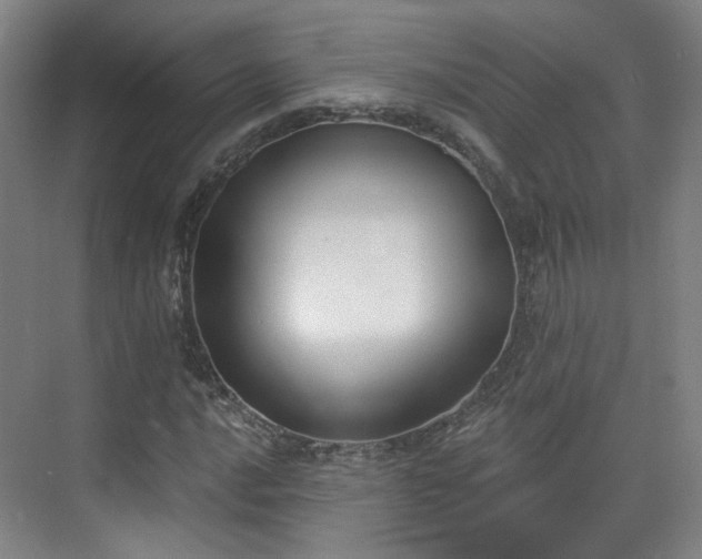 X0000070241016200606091329