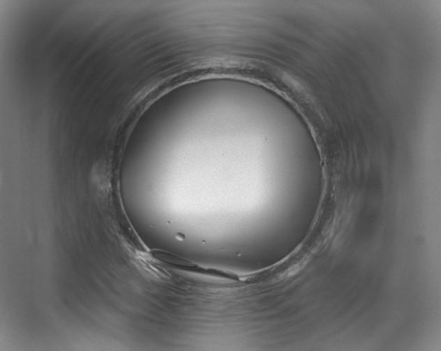 X0000070241017200606091329