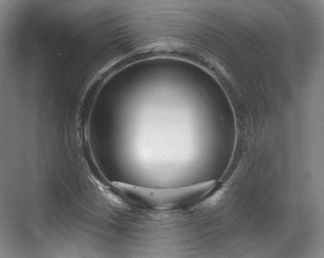 X0000070241018200606091329