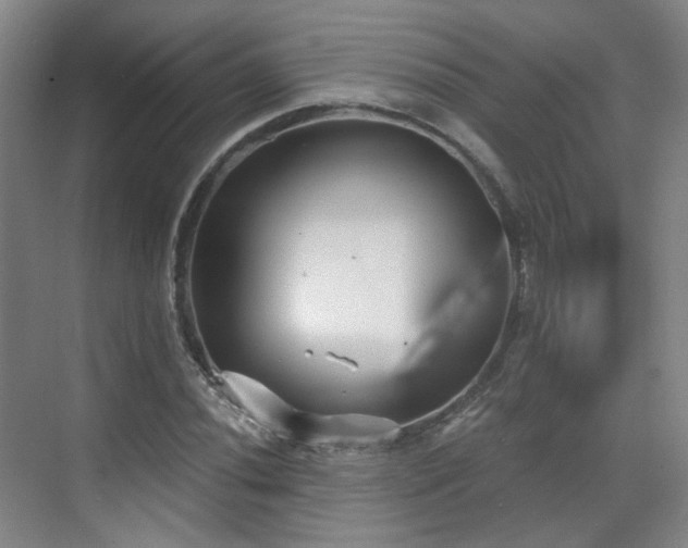 X0000070241020200606091329