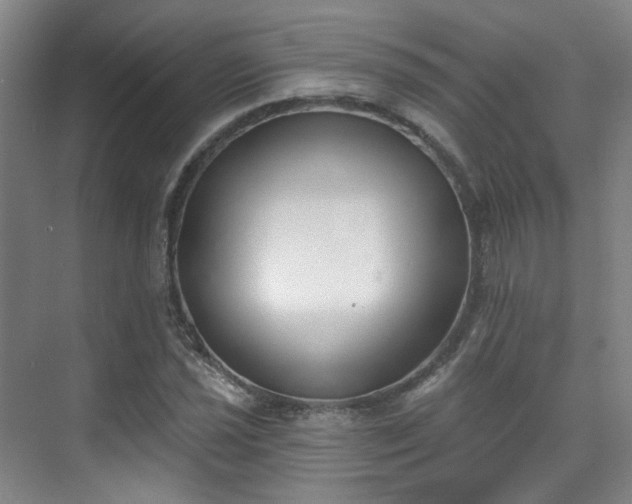 X0000070241021200606091329