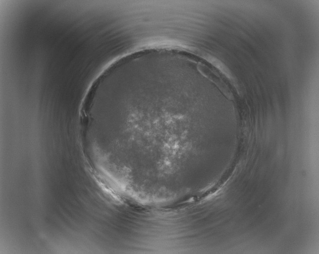 X0000070241022200606091329