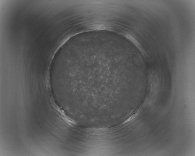 X0000070241023200606091329