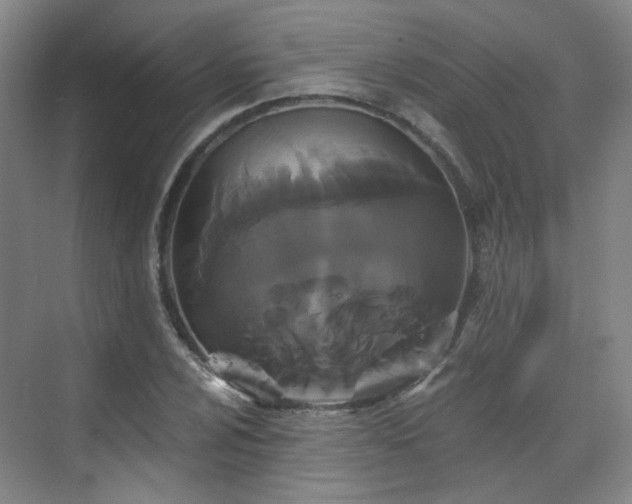 X0000070241024200606091329