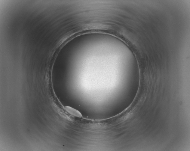 X0000070241025200606091329