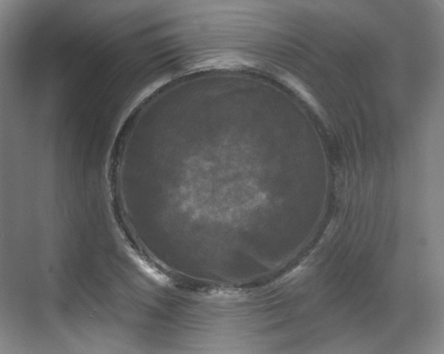 X0000070241026200606091329