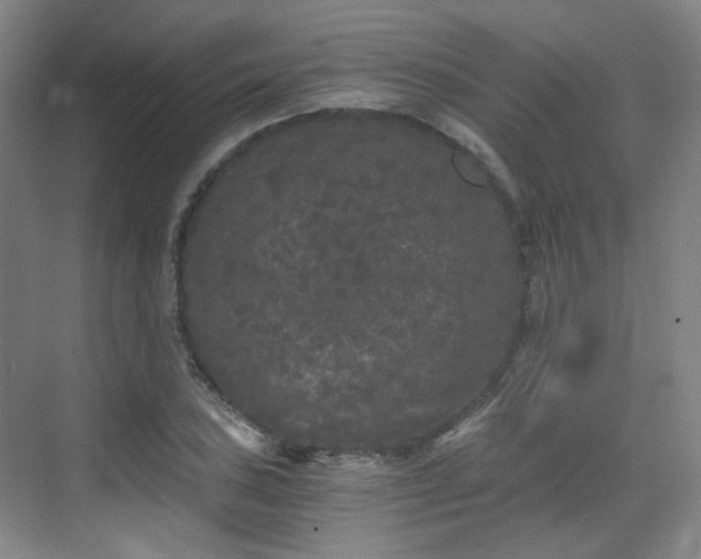 X0000070241027200606091329