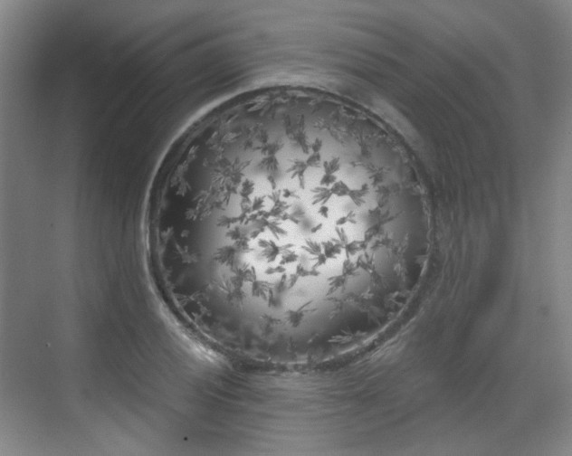 X0000070241028200606091329