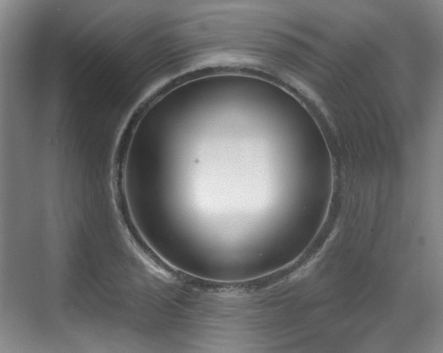 X0000070241029200606091329