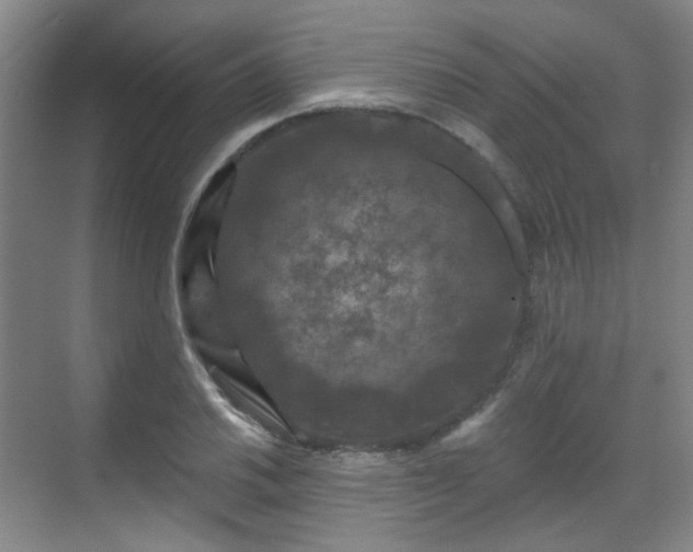 X0000070241030200606091329