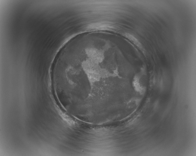 X0000070241031200606091329