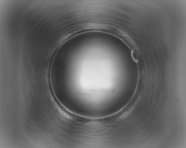 X0000070241033200606091329