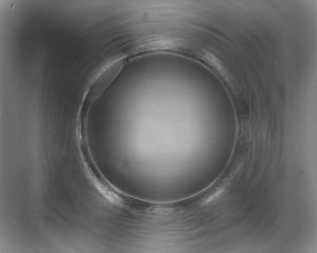 X0000070241034200606091329