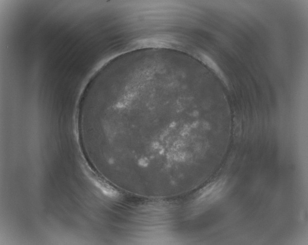 X0000070241035200606091329