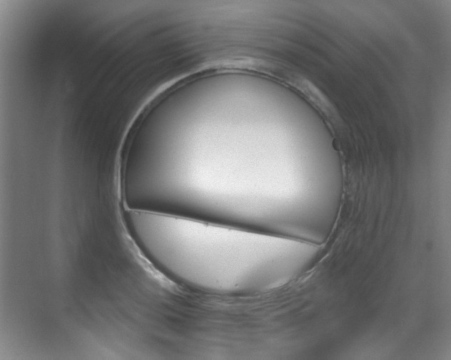 X0000070241036200606091329