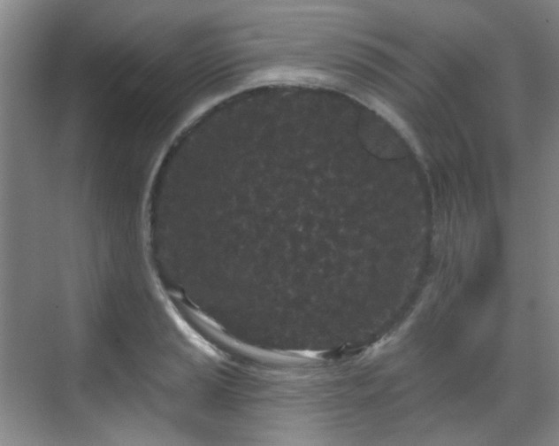 X0000070241037200606091329