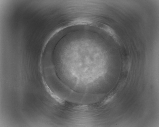 X0000070241038200606091329