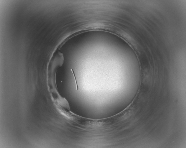 X0000070241039200606091329