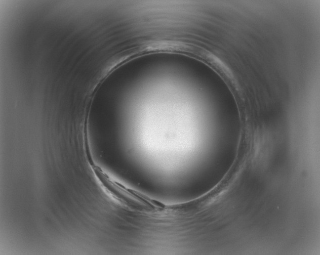 X0000070241041200606091329