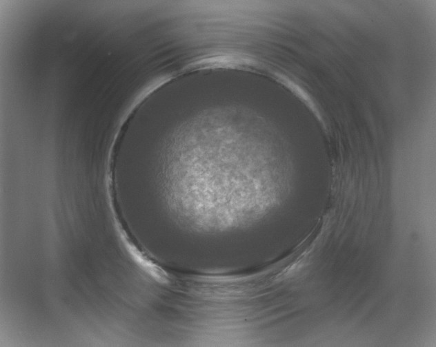 X0000070241042200606091329