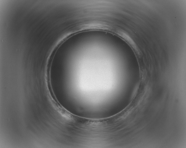 X0000070241043200606091329