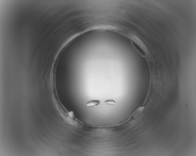 X0000070241044200606091329