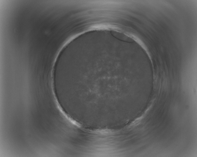 X0000070241045200606091330