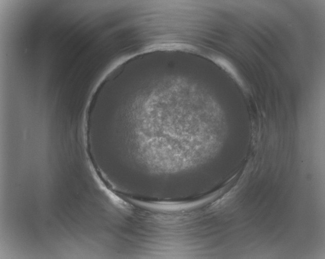 X0000070241046200606091330