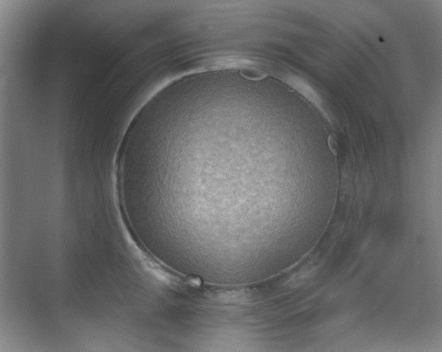 X0000070241047200606091330