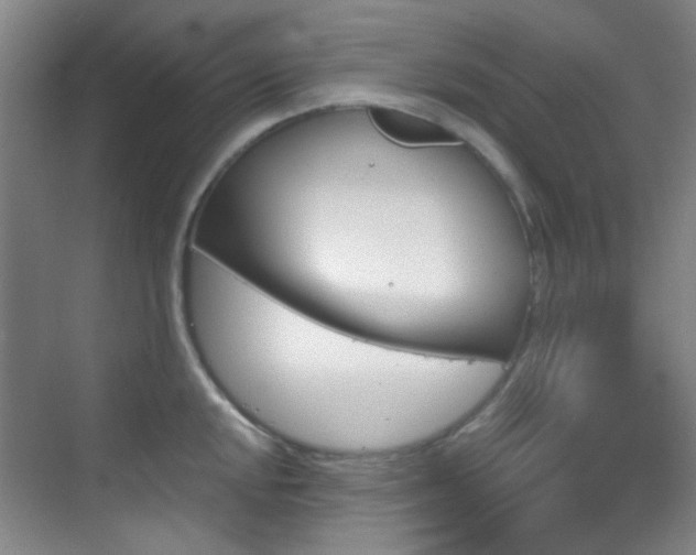 X0000070241048200606091330