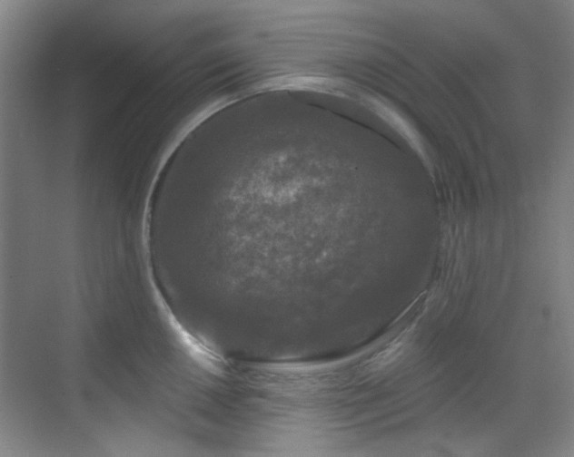 X0000070241050200606091330