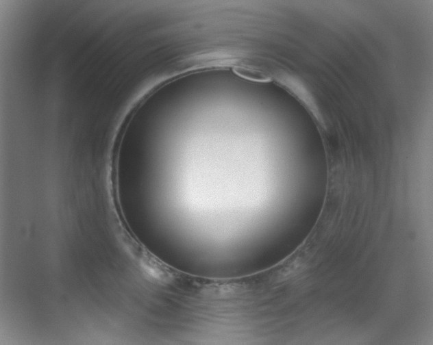 X0000070241051200606091330