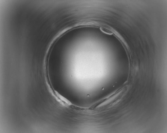 X0000070241053200606091330