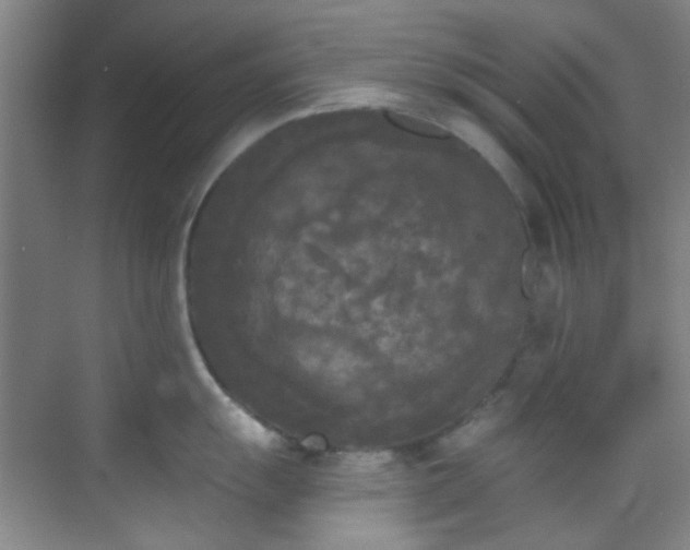 X0000070241055200606091330