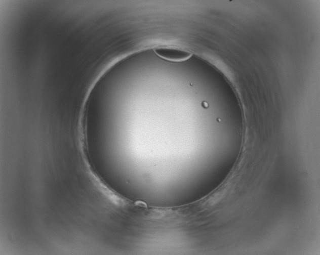 X0000070241056200606091330