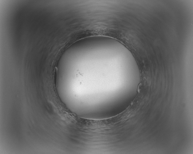 X0000070241057200606091329