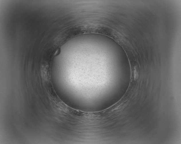 X0000070241059200606091329