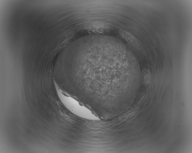 X0000070241060200606091329