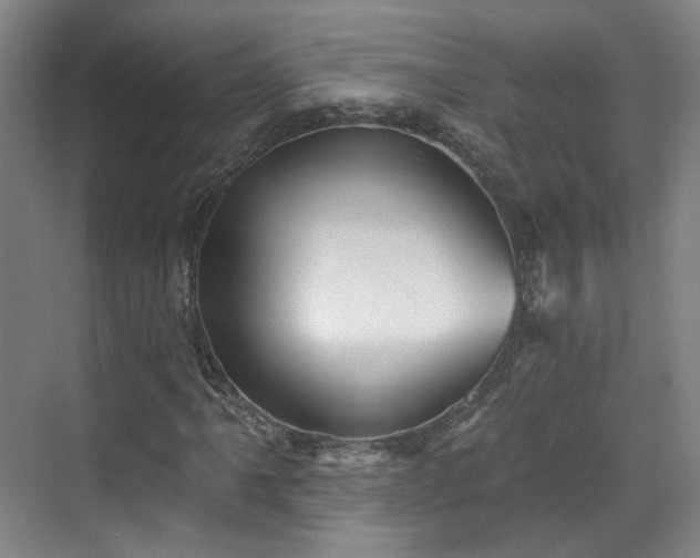 X0000070241061200606091329