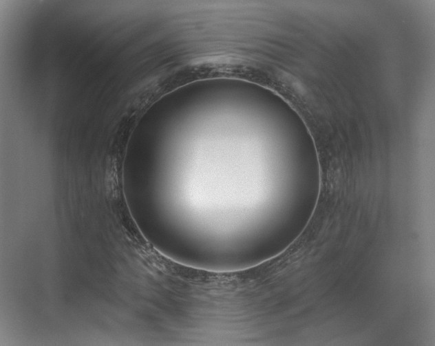 X0000070241062200606091329