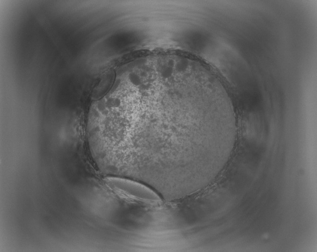 X0000070241063200606091329