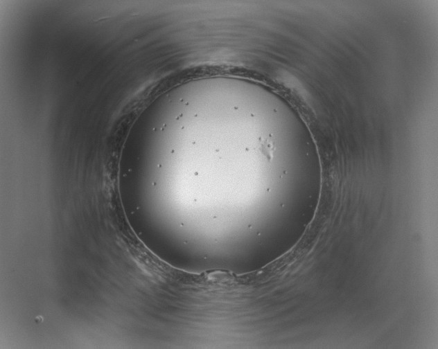 X0000070241064200606091329